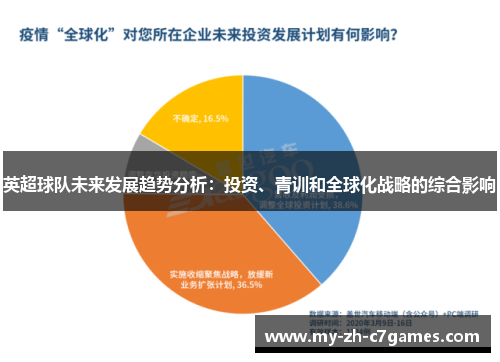 英超球队未来发展趋势分析：投资、青训和全球化战略的综合影响
