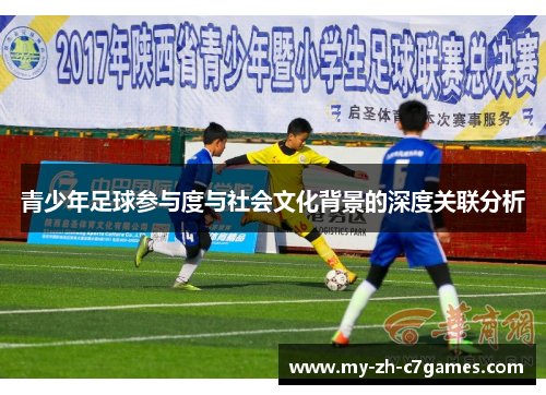 青少年足球参与度与社会文化背景的深度关联分析