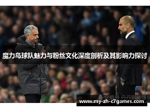 魔力鸟球队魅力与粉丝文化深度剖析及其影响力探讨 魔力鸟球队魅力与粉丝文化深度剖析及其影响力探讨