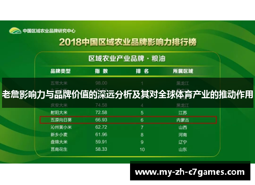 老詹影响力与品牌价值的深远分析及其对全球体育产业的推动作用
