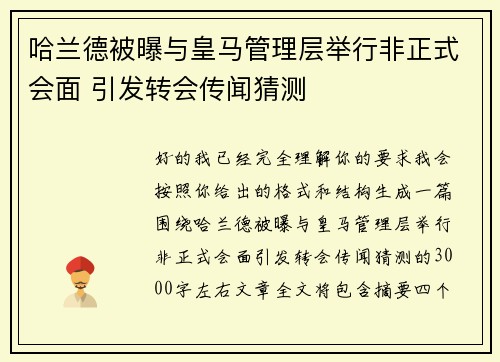 哈兰德被曝与皇马管理层举行非正式会面 引发转会传闻猜测 哈兰德被曝与皇马管理层举行非正式会面 引发转会传闻猜测