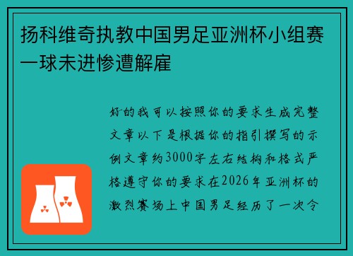 扬科维奇执教中国男足亚洲杯小组赛一球未进惨遭解雇